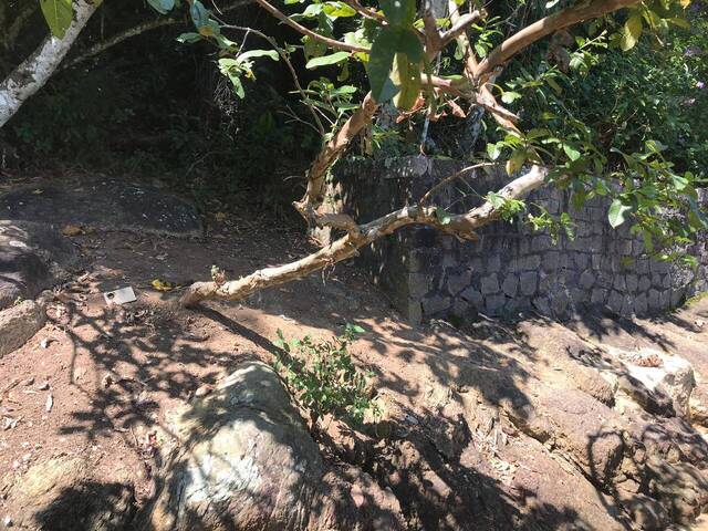 Terreno para Venda em Paraty - 5