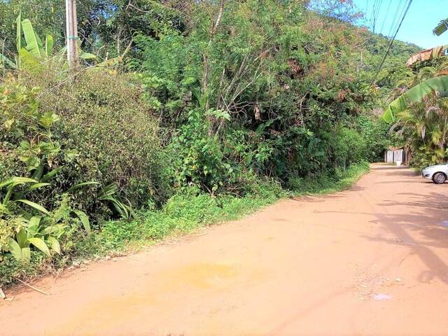 #TERR/MARA/ - Terreno para Venda em Ubatuba - SP - 3