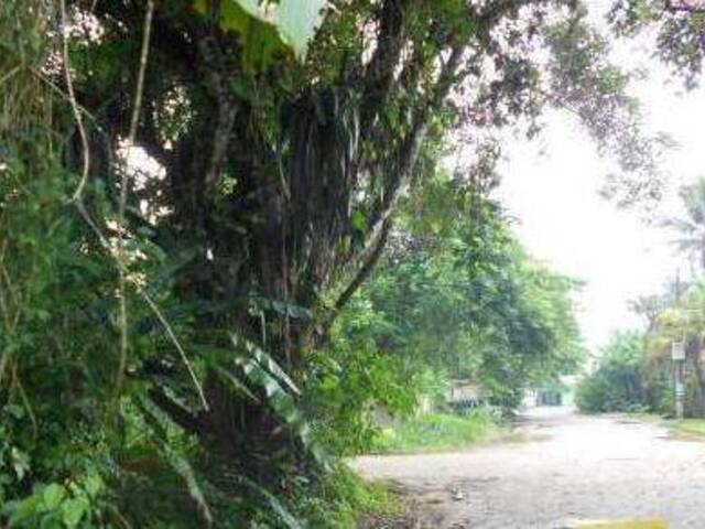 #107 - Área para Venda em Ubatuba - SP - 2