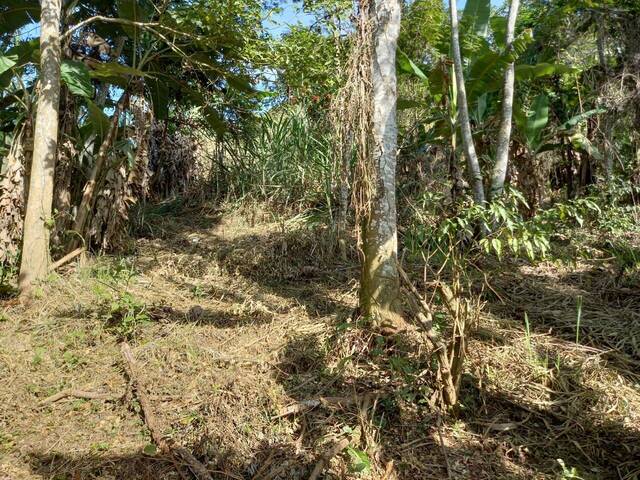 #258 - Área para Venda em Ilhabela - SP - 1