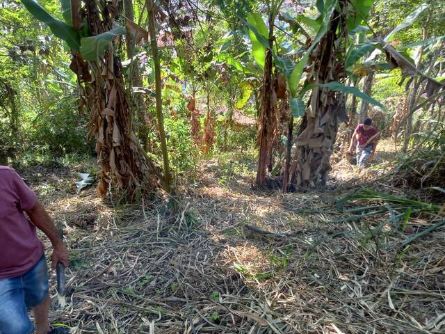 #258 - Área para Venda em Ilhabela - SP - 3