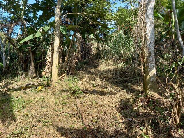 Área para Venda em Ilhabela - 4