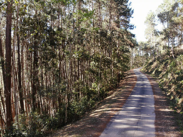 #386 - Terreno para Venda em Campos do Jordão - SP - 2