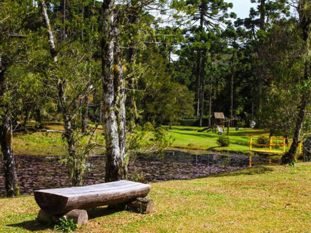 #386 - Terreno para Venda em Campos do Jordão - SP - 3