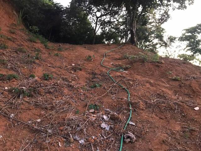 Terreno para Venda em Ilhabela - 5