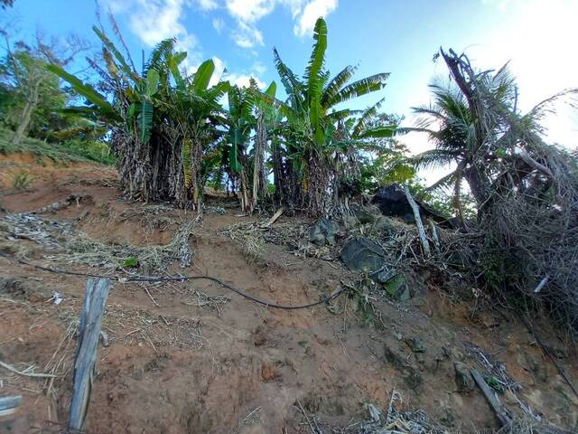 Terreno para Venda em Ilhabela - 4