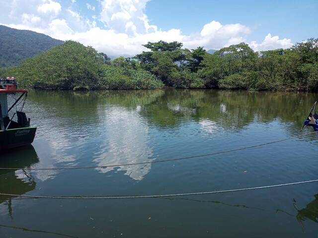 #413 - Sala para Venda em Ubatuba - SP - 3