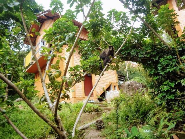 Venda em Lagoa da Conceição - Florianópolis