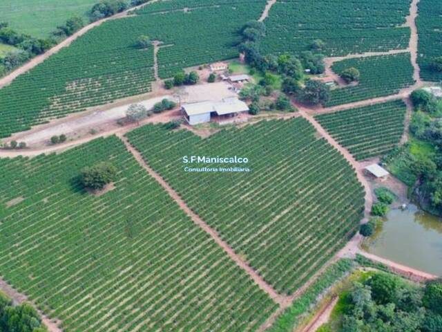#644 - Fazenda para Venda em Campanha - MG - 1