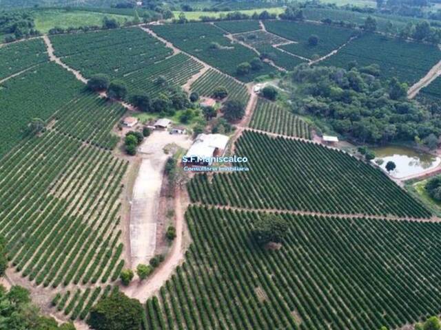 #644 - Fazenda para Venda em Campanha - MG - 3