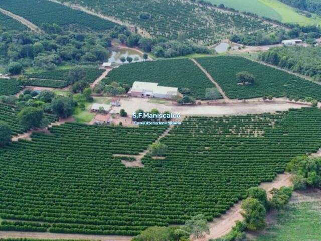 #644 - Fazenda para Venda em Campanha - MG - 2