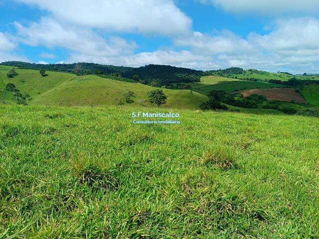 #645 - Fazenda para Venda em Machado - MG - 1