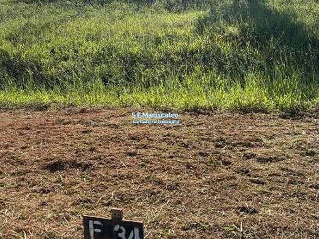 Área para Venda em Taubaté - 4